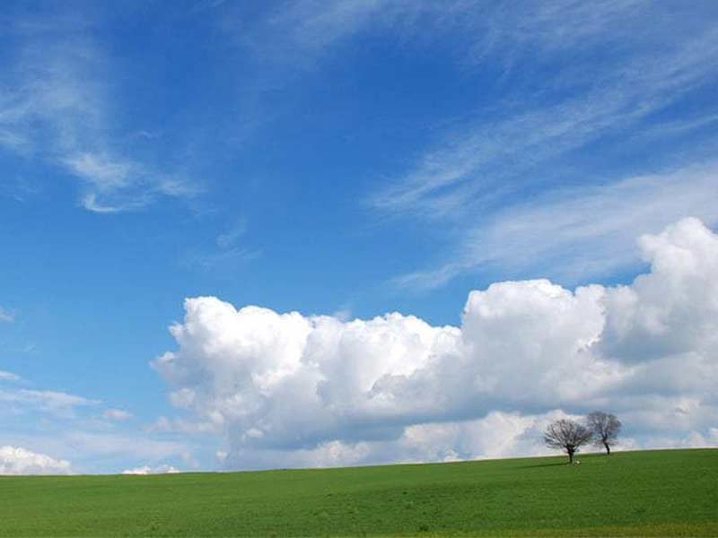 The-Environment-Offers-A-Glimmer-Of-Hope-In-The-Face-Of-Adversity