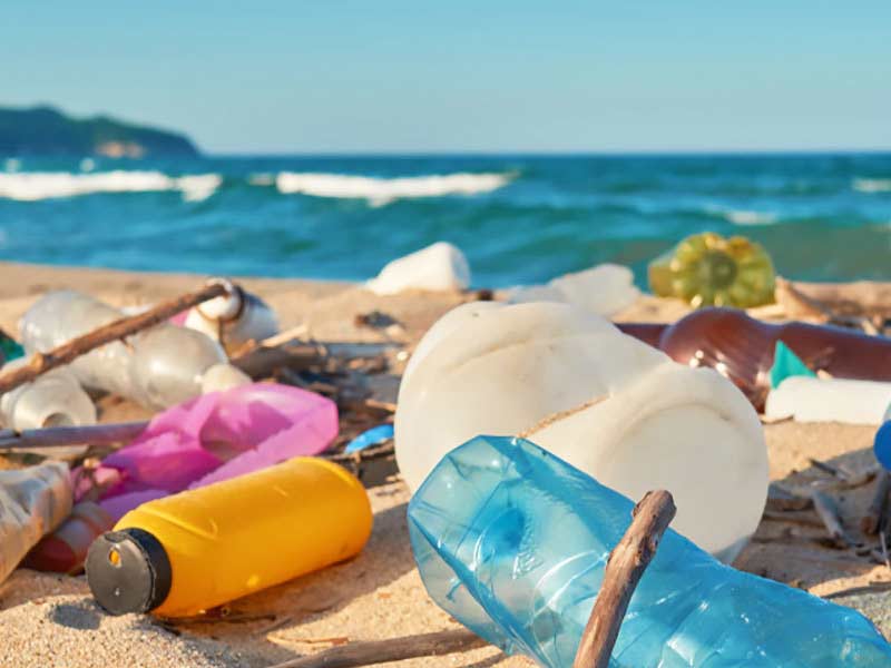 Reusable Cups Provide The Best Alternative To Single Use Plastic At Events