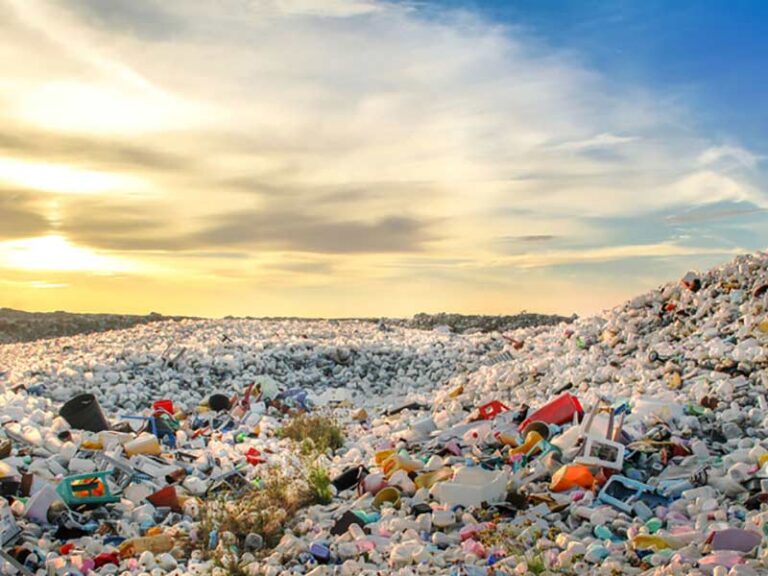 Reusable Event Cup Rental Helps Solve A Major Problem In 2020 & Beyond