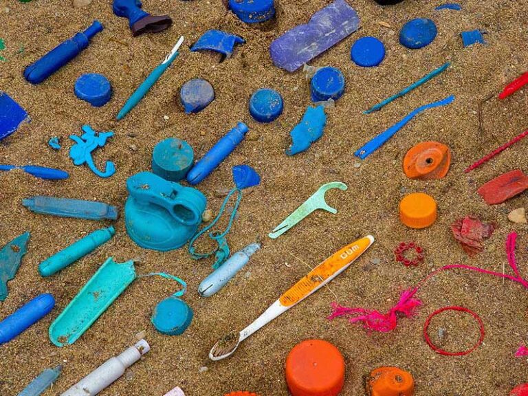 single-use-plastic-directive-europe
