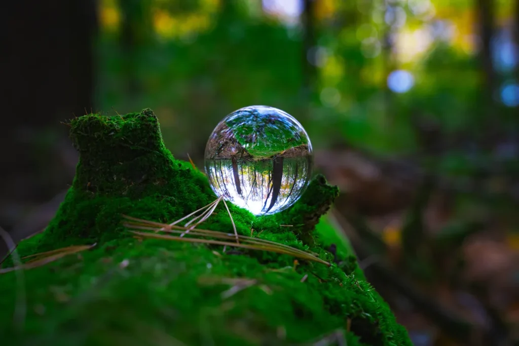 green forest